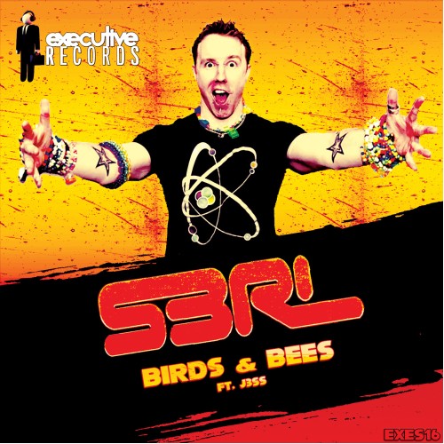 Birds & Bees - S3RL feat J3SS