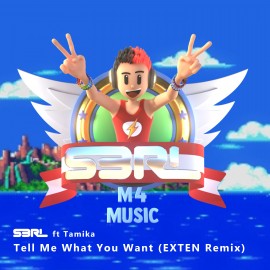Tell Me What You Want  - S3RL ft Tamika (EXTEN Remix) 